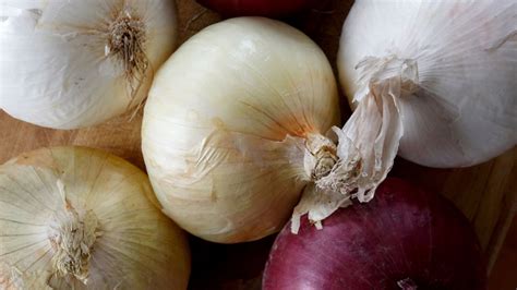 Bagged, precut onions linked to salmonella outbreak that has sickened 73 people in 22 states
